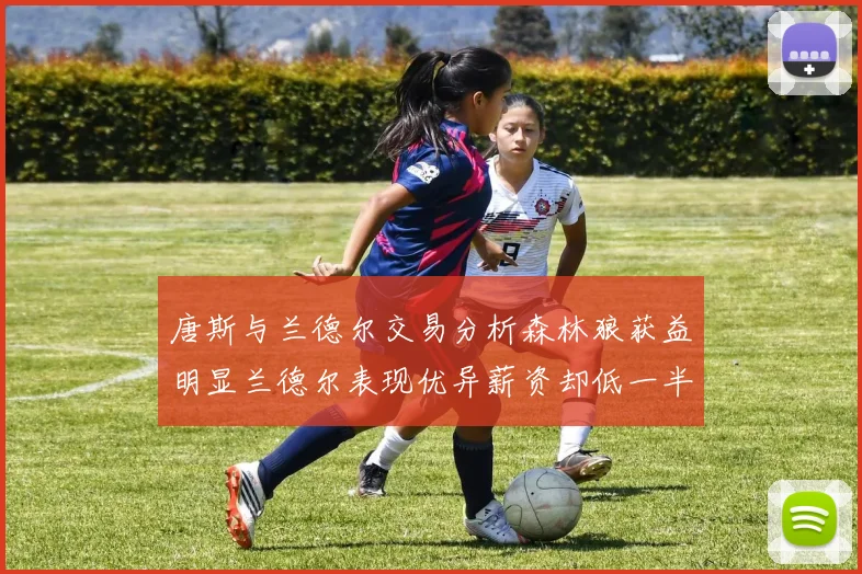 唐斯与兰德尔交易分析森林狼获益明显兰德尔表现优异薪资却低一半