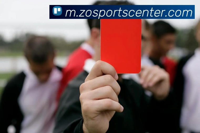 中欧体育平台生态图